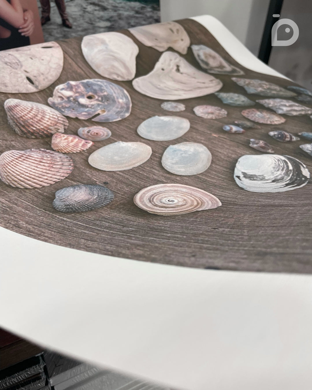 50X90 CM - CANVAS