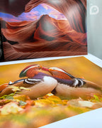 40X50 CM - AMPLIACIÓN